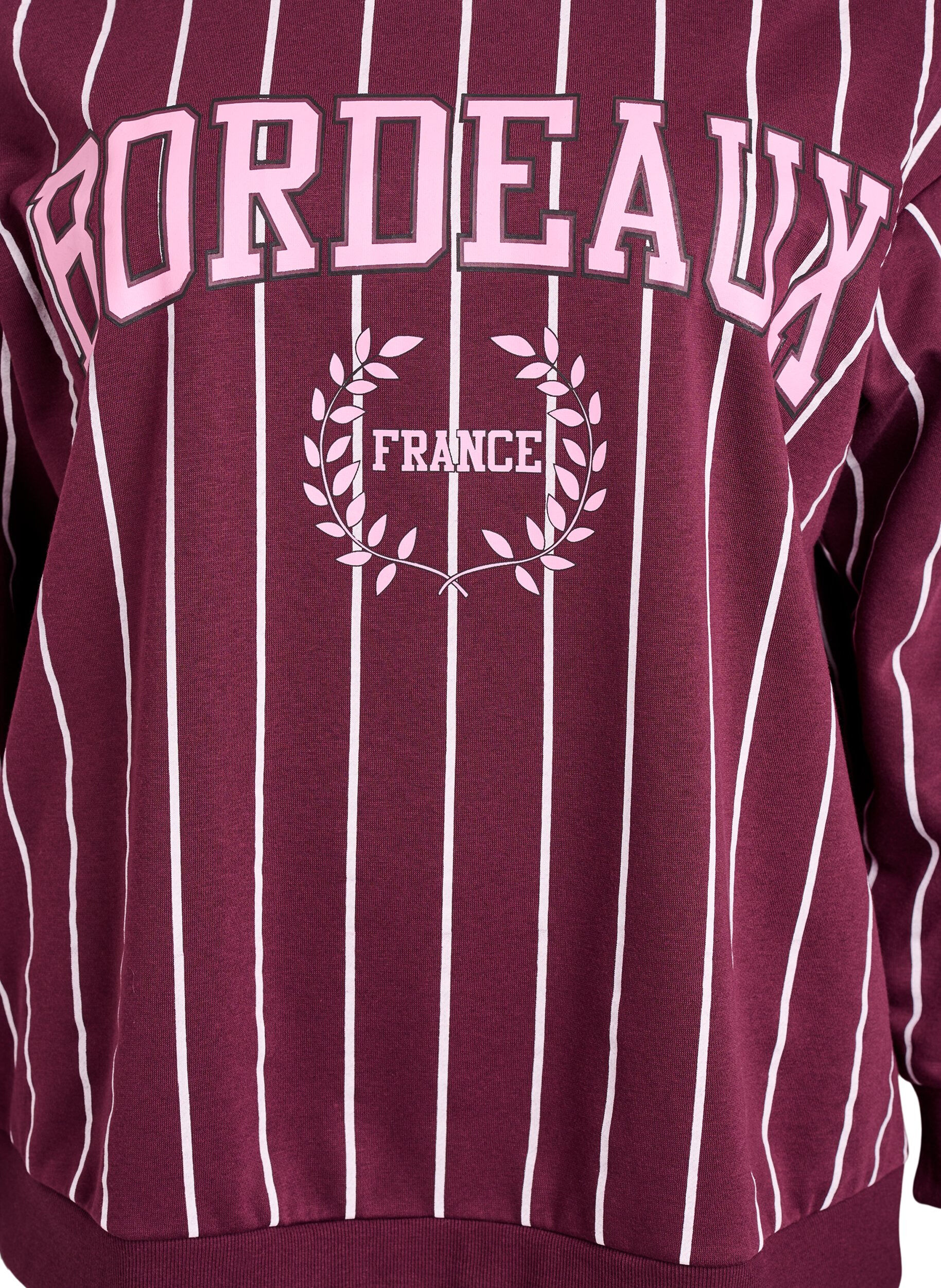 Zizzi Raidallinen collegepaita tekstiprintill&auml;, Punainen, Packshot image number 2