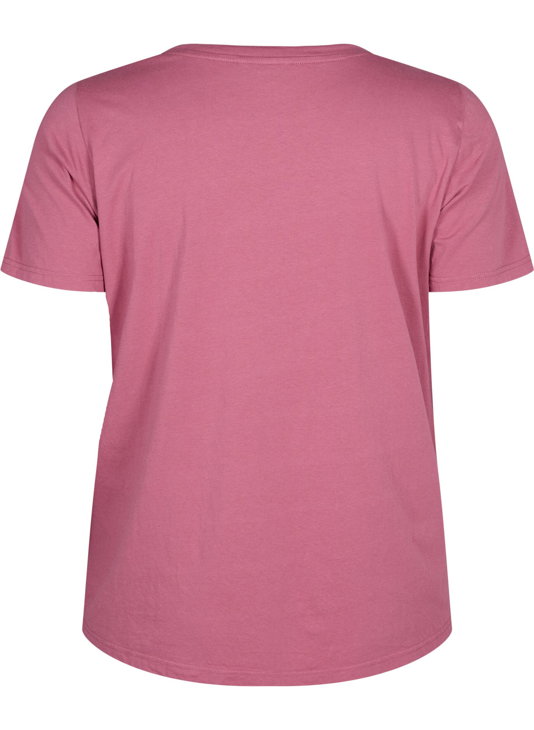 Zizzi Puuvillainen T-paita tekstikuviolla, Malaga W. ALASKA, Packshot image number 1