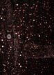 Paljettibleiseri, Ruskea, Packshot image number 2