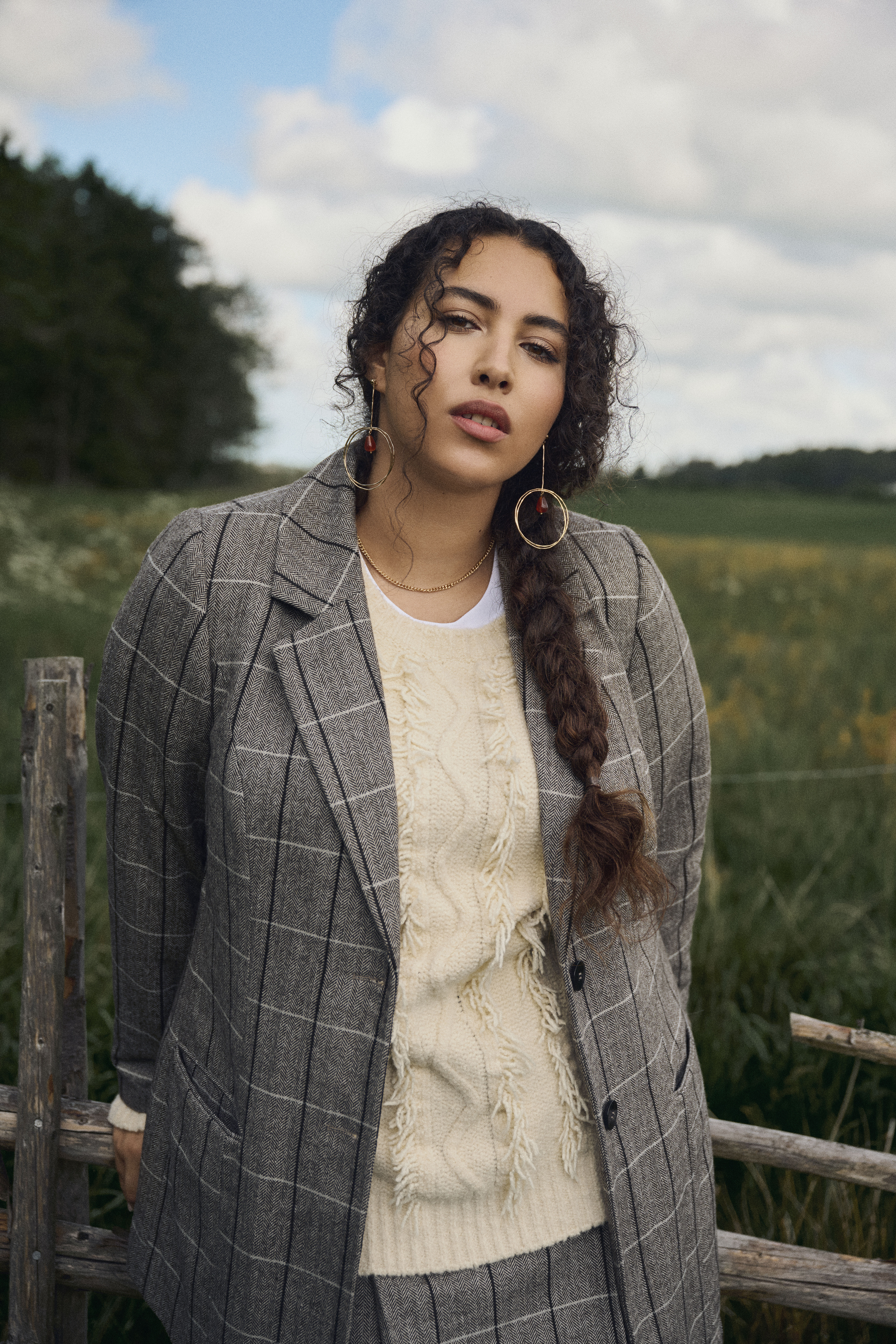 Harmaat ruudut, , Model