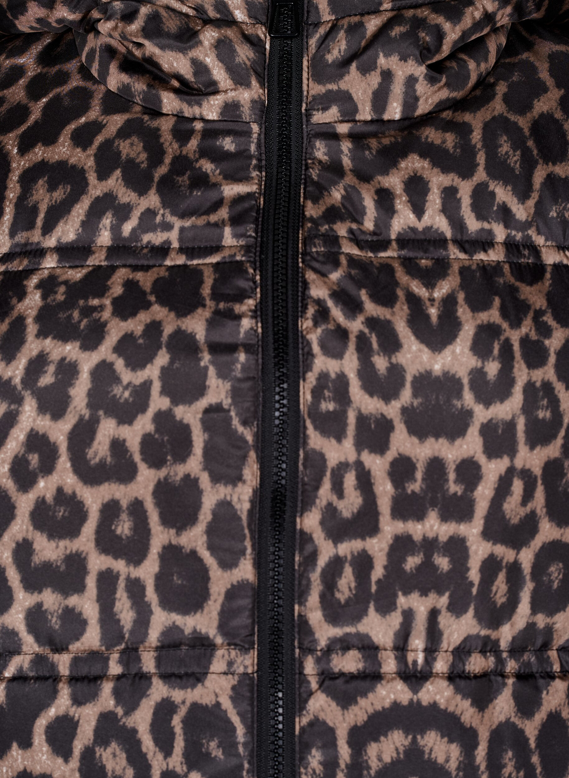 Zizzi Lyhyt puffer-takki hupulla ja kaksisuuntaisella vetoketjulla, Musta, Packshot image number 2