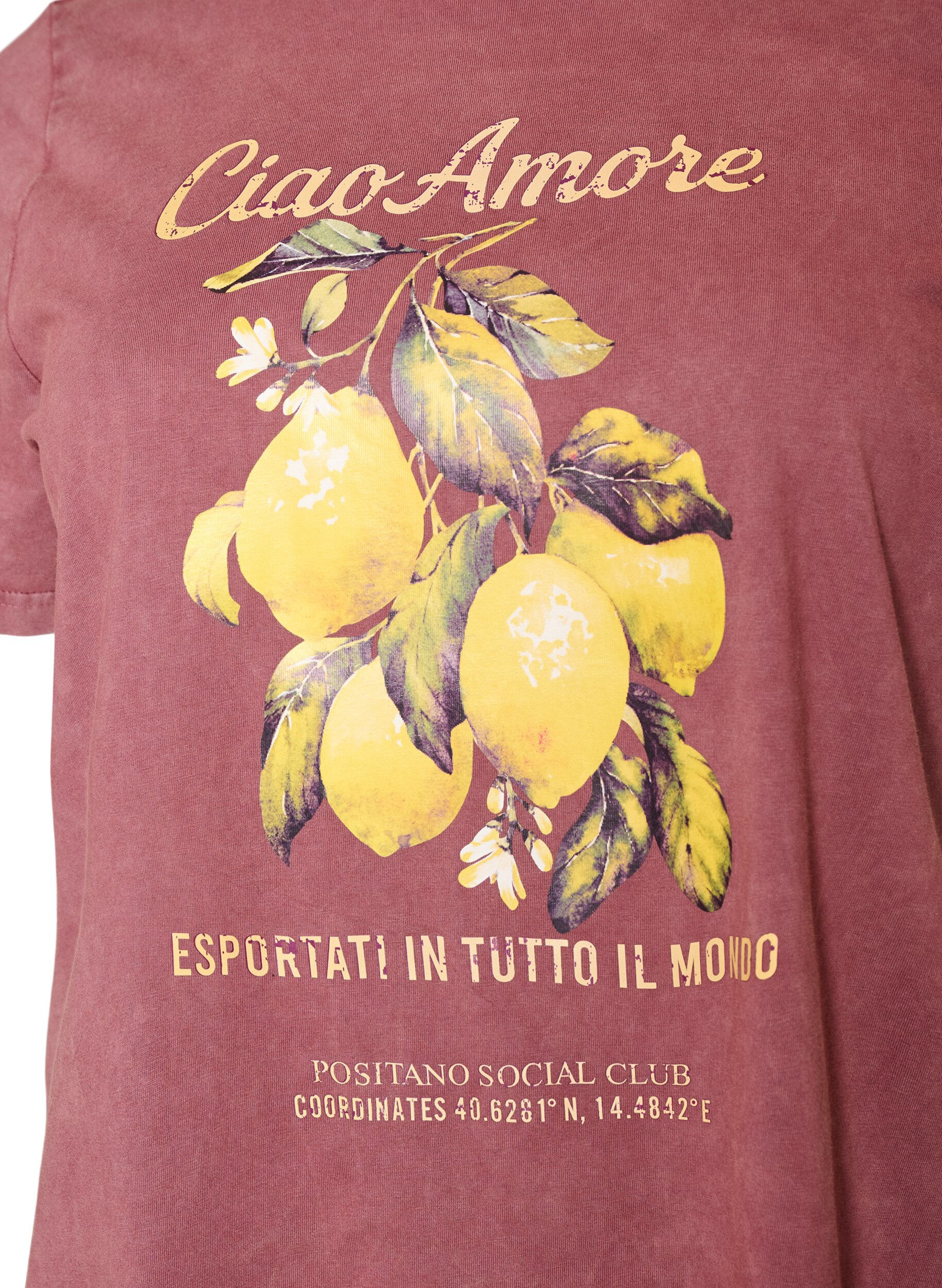 ZizziPuuvillainen T-paita etupainatuksella ja pestyll&auml; lookilla, Punainen, Packshot image number 2